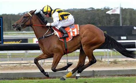 ct horse betting|horse racing in connecticut.